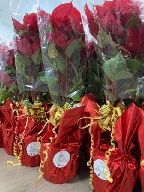 El Ayuntamiento reparte flores de pascua a 250 establecimientos para fomentar las compras y el consumo en Navidad - 2, Foto 2