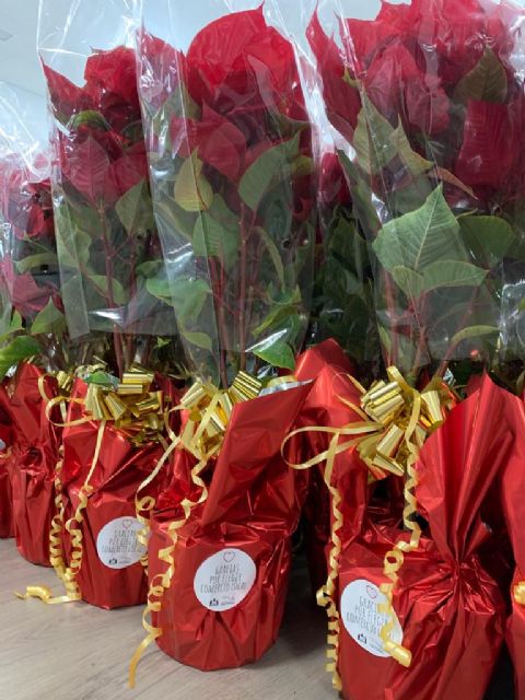 El Ayuntamiento reparte flores de pascua a 250 establecimientos para fomentar las compras y el consumo en Navidad - 2, Foto 2