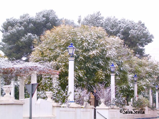 AEMET prev nevadas en Alhama de Murcia, Foto 1