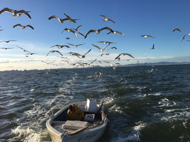 San Pedro del Pinatar estará en FITUR 2017 con la Romería de la Virgen del Carmen y una nueva experiencia turística - 1, Foto 1