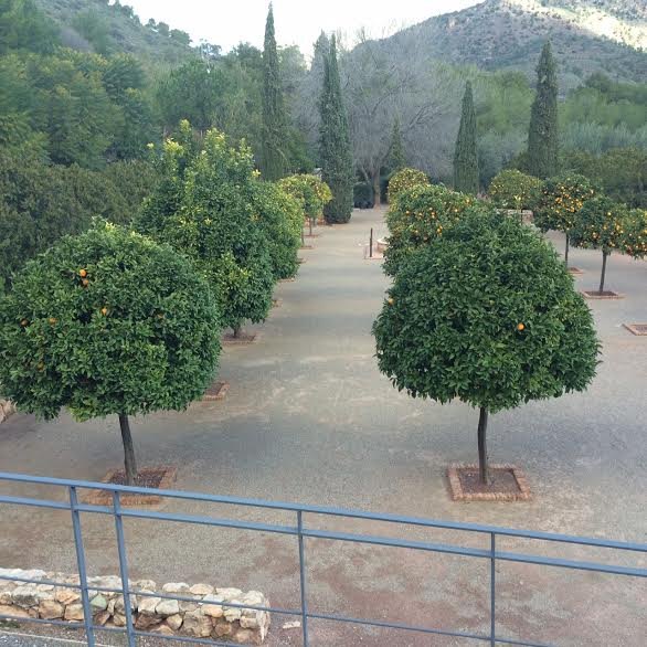 El Pleno tratará este mes el pliego de cláusulas administrativas del nuevo contrato de arrendamiento del hotel y las casas rurales de La Santa, Foto 7