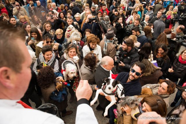 Las fiestas mas animales ponen punto final en San Anton - 1, Foto 1