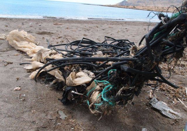IU-Verdes Lorca propondrá nuevos instrumentos jurídicos ante la amenaza persistente a los espacios naturales - 1, Foto 1