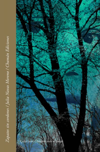 José Luis Morante sobre Zapatos sin cordones - 1, Foto 1