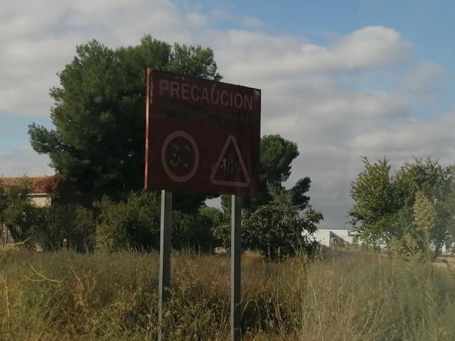 El PP de Las Torres de Cotillas denuncia el mal estado de numerosos rótulos - 5, Foto 5