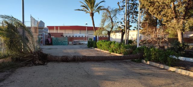 Se suspenden las actividades deportivas por la alerta por viento - 1, Foto 1