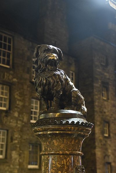 La historia del perrito Bobby más famoso de Edimburgo - 1, Foto 1