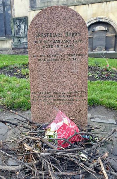 La historia del perrito Bobby más famoso de Edimburgo - 5, Foto 5