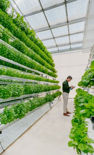 Vertical Sunning: Nuevo proyecto I+D para la producción de alimentos en vertical sin iluminación artificial - 1, Foto 1