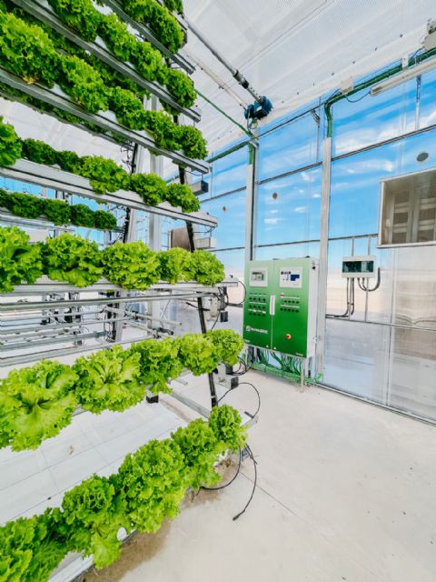 Vertical Sunning: Nuevo proyecto I+D para la producción de alimentos en vertical sin iluminación artificial - 3, Foto 3