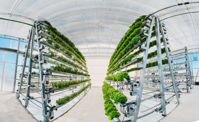 Vertical Sunning: Nuevo proyecto I+D para la producción de alimentos en vertical sin iluminación artificial - 4, Foto 4