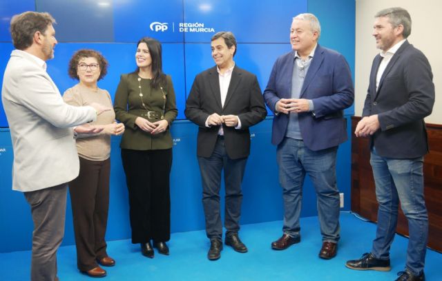 El PP pedirá en el Senado que el Plan Estatal de Vivienda incluya líneas de incentivos al nuevo modelo de Vivienda Asequible del Gobierno de la Región de Murcia - 1, Foto 1