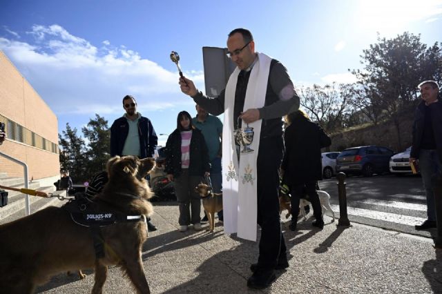 UNI Laica denuncia el confesionalismo de la Facultad de Veterinaria de Murcia al promover una bendición de animales por San Antón - 2, Foto 2