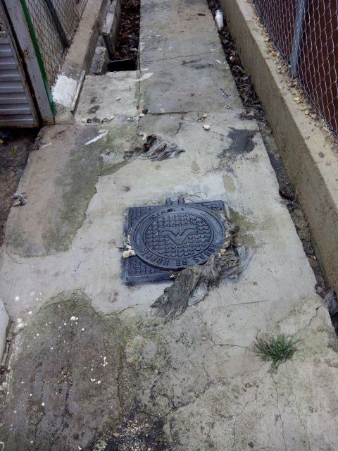 Ahora Murcia denuncia la insalubridad en un carril de San Ginés motivada por el alcantarillado - 1, Foto 1