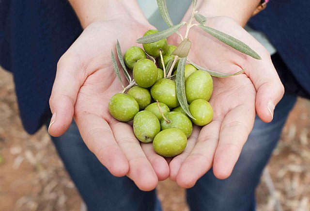 Aceitunas Torrent presenta Oliva Clan, su nueva línea de producto, en Gulfood Dubái 2020 - 1, Foto 1