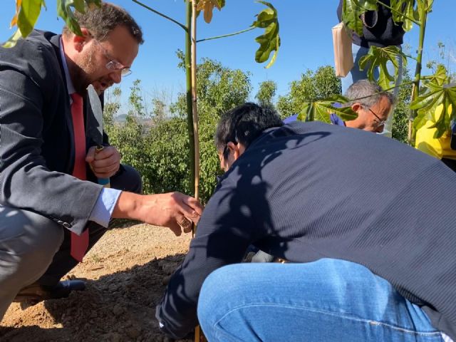 Assido protagoniza hoy la plantación de árboles en Terra Natura dentro del Plan Foresta - 4, Foto 4