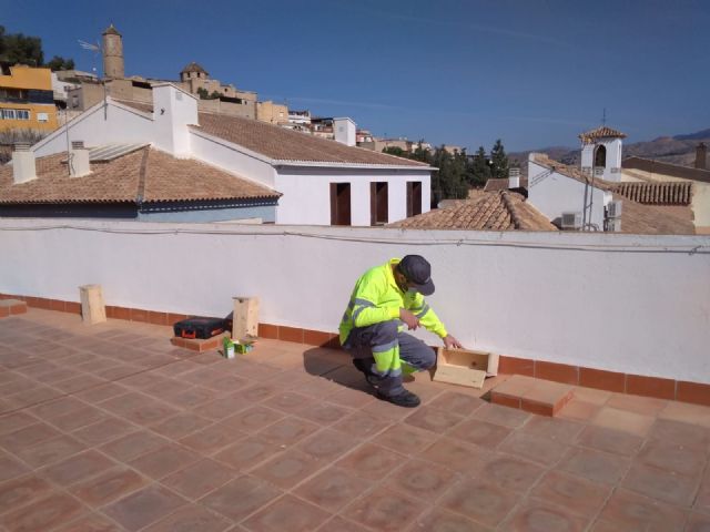 El Ayuntamiento de Lorca instala 25 casas nido en diversos edificios municipales para facilitar la cría del vencejo y seguir apostando por el cuidado y el conocimiento de las aves - 1, Foto 1