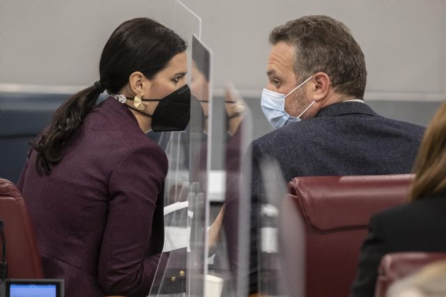 El GPP ha solicitado que se reúna la Comisión del Estatuto del Diputado para que abra un expediente sancionador a la diputada socialista - 1, Foto 1