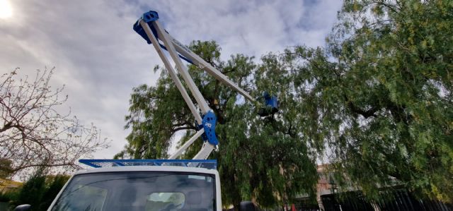 El Ayuntamiento de Lorca colabora con la Fundación Cepaim en la colocación de 40 casas nido en el arbolado de los colegios San José y José Robles - 1, Foto 1