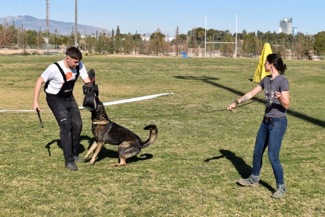 El pastor alemán, protagonista del fin de semana en Las Torres de Cotillas - 4, Foto 4