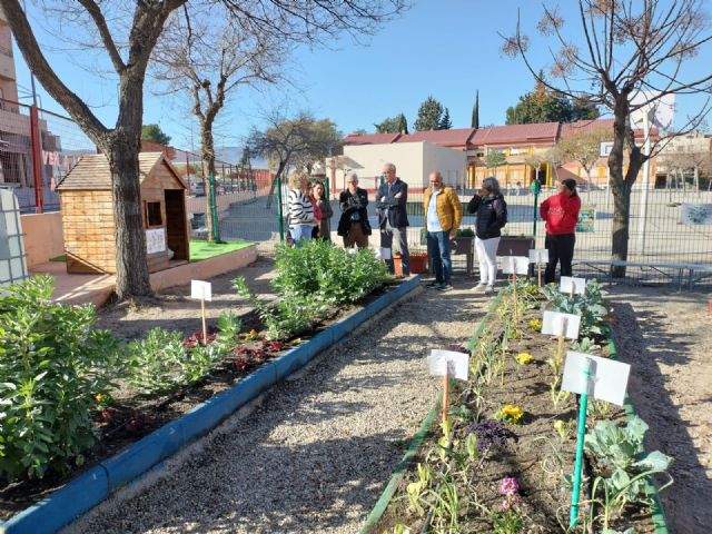 Más de 70 centros del municipio cuentan con Huertos Escolares como herramienta educativa y de conciencia medio ambiental - 1, Foto 1