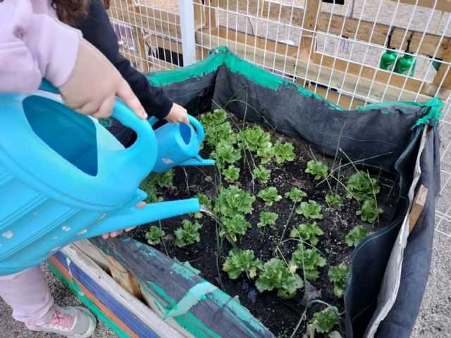 Más de 70 centros del municipio cuentan con Huertos Escolares como herramienta educativa y de conciencia medio ambiental - 3, Foto 3