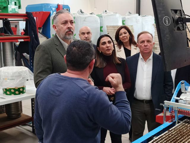 Crece más de un 50 por ciento la exportación de plantones hortícolas cultivados en la Región - 1, Foto 1