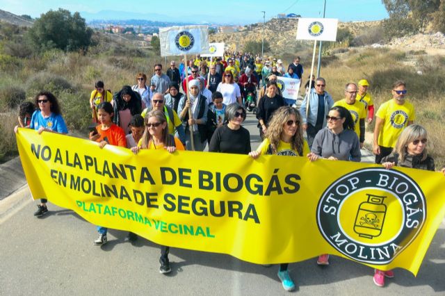 IU-Verdes reclama una reforma urgente de los planes urbanísticos y una moratoria para la planta de biogás en Molina de Segura - 1, Foto 1