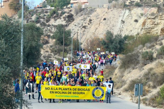 IU-Verdes reclama una reforma urgente de los planes urbanísticos y una moratoria para la planta de biogás en Molina de Segura - 3, Foto 3