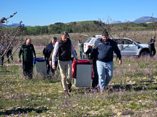 Las Tierras Altas de Lorca dan la bienvenida a Weeka y Windows con el inicio la nueva campa&ntilde;a de liberación del lince ibérico en la Región - 3, Foto 3