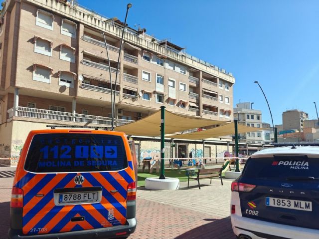 El Gobierno local de Molina de Segura hace balance de los da&ntilde;os materiales provocados por los fuertes vientos en el municipio el pasado fin de semana, con más de 114 intervenciones - 3, Foto 3