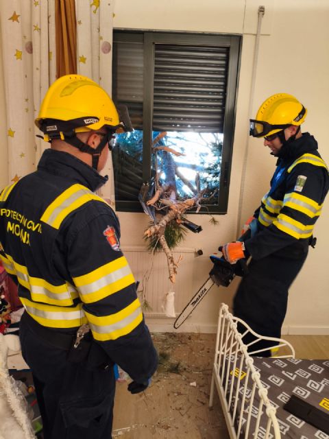 El Gobierno local de Molina de Segura hace balance de los da&ntilde;os materiales provocados por los fuertes vientos en el municipio el pasado fin de semana, con más de 114 intervenciones - 4, Foto 4