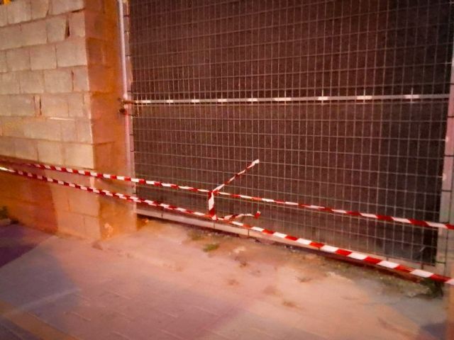 Alhama de Murcia refuerza la protección de sus colonias felinas tras intento de envenenamiento - 2, Foto 2