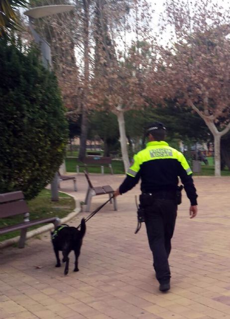 La labor de la nueva unidad canina de la Policía Local torreña empieza a dar frutos - 1, Foto 1