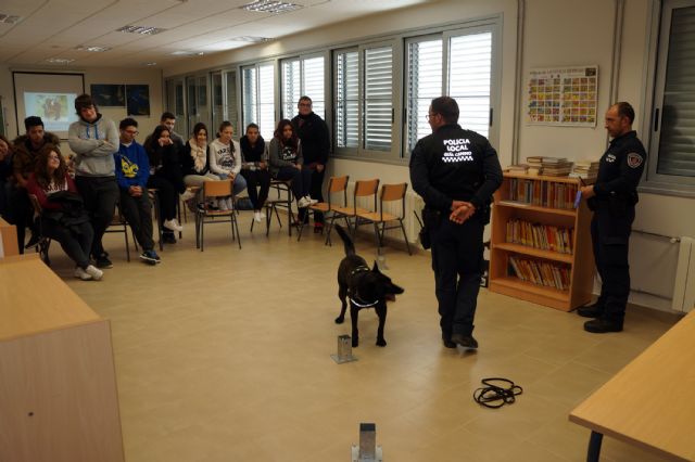 La labor de la nueva unidad canina de la Policía Local torreña empieza a dar frutos - 2, Foto 2