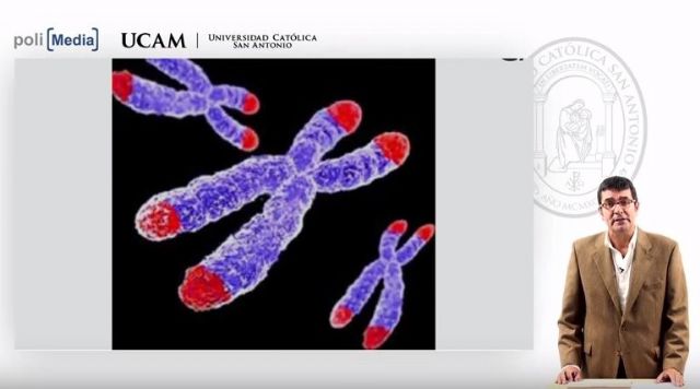 Más de 60 mil personas se han inscrito ya en los cursos MOOC de la UCAM - 1, Foto 1