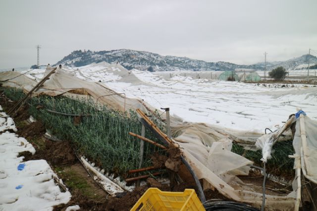 El Ayuntamiento  de Cehegín abre el plazo de solicitud de ayudas para reconstruir invernaderos - 1, Foto 1
