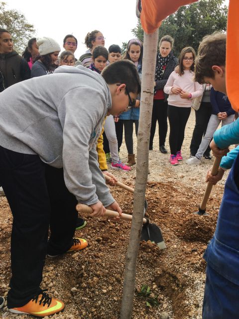 Más Árboles para Fuente Álamo - 1, Foto 1