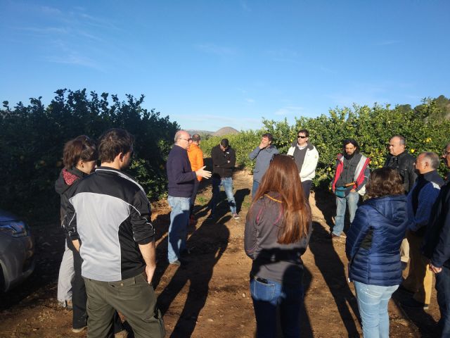 Agricultura inicia la campaña para la prevención y detección de la bacteria Xylella fastidiosa - 1, Foto 1