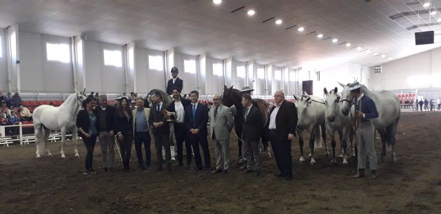 EQUIMUR 2019, recibe a más de 13.000 visitantes y entrega los premios a los mejores ejemplares participantes de pura raza española - 1, Foto 1