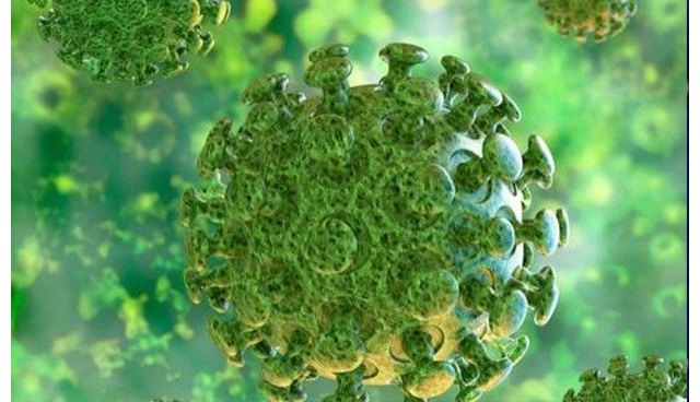 Decálogo de Qida sobre la atención domiciliaria de personas mayores ante la crisis del coronavirus - 1, Foto 1