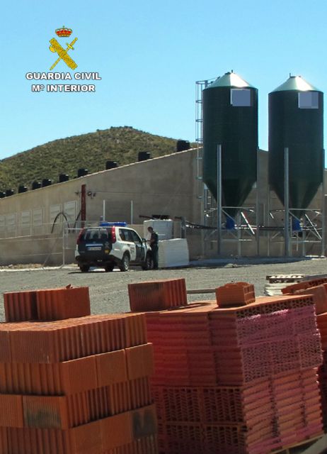 La Guardia Civil denuncia más de 100 infracciones por irregularidades en granjas porcinas en Lorca - 2, Foto 2