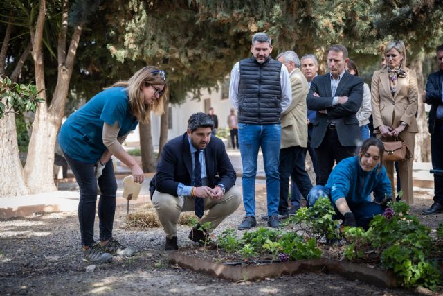 López Miras anuncia una nueva convocatoria con 8 millones para la incorporación de 200 jóvenes al sector agrario - 2, Foto 2