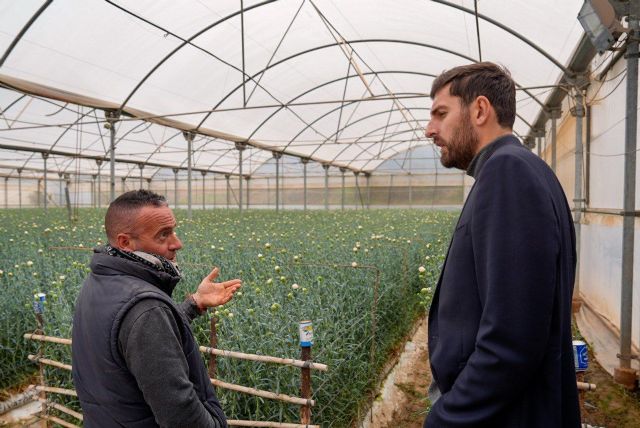 DANIEL SABIOTE_VOX, Foto 1