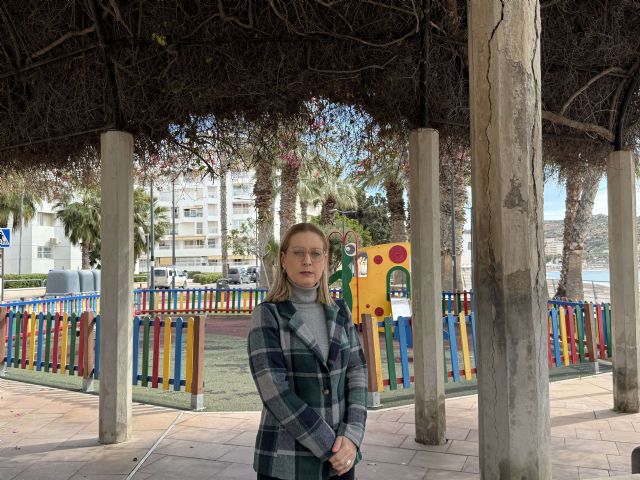 Sáez: Reclamamos un mayor mantenimiento en la zona de pérgolas del Paseo de Parra - 1, Foto 1