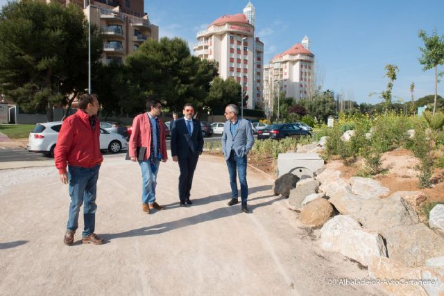 Avanzan a buen ritmo los trabajos de acondicionamiento de la zona ajardinada frente al Palacio de Deportes - 1, Foto 1