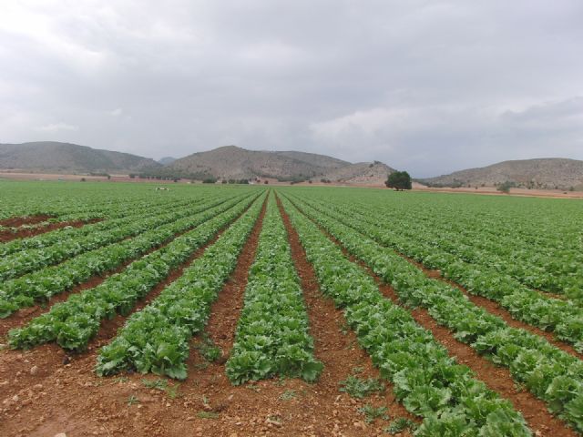 Próxima constitución del Consejo para la Defensa del Noroeste - 1, Foto 1