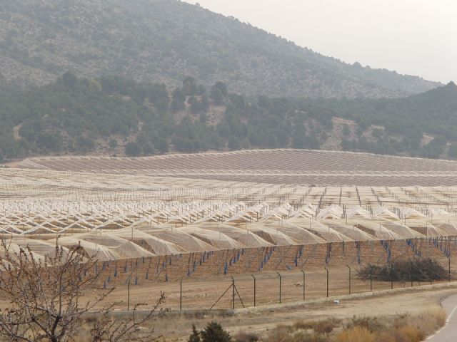 Próxima constitución del Consejo para la Defensa del Noroeste - 2, Foto 2