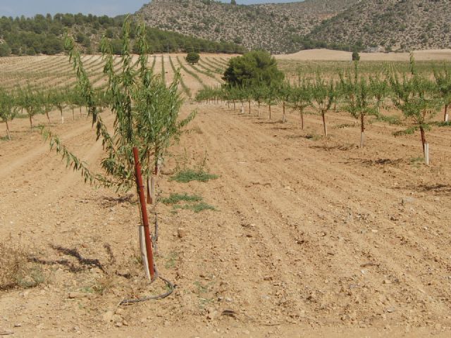 Próxima constitución del Consejo para la Defensa del Noroeste - 3, Foto 3