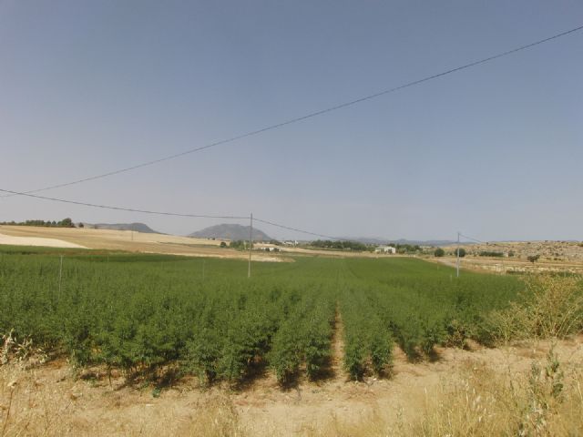 Próxima constitución del Consejo para la Defensa del Noroeste - 4, Foto 4